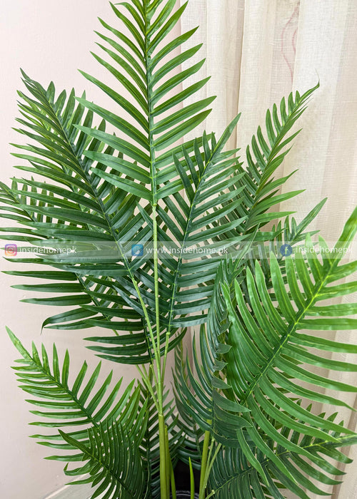 Natural Palm (PL1091) With Planter