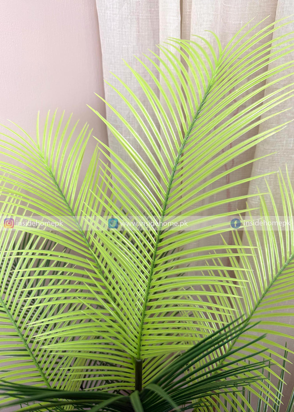 Areca Plam Plant (PL1093) With Planter