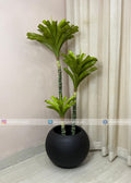 Bromeliad Tree (PL1095)