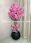 Blossom Tree (PL1097)