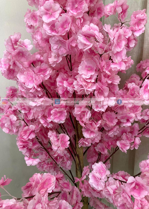 Blossom Tree (PL1097)