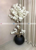 Blossom Tree (PL1098)