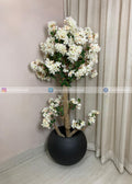 Blossom Tree (PL1100)