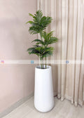 Areca Plant (PL1108)