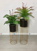 Green Arrangment (PL1110)