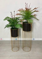 Green Arrangment (PL1110)