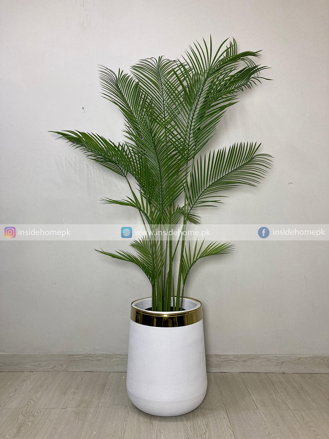 Areca Palm Tree (PL1132)