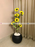 Sunflower Plant (PL1135)