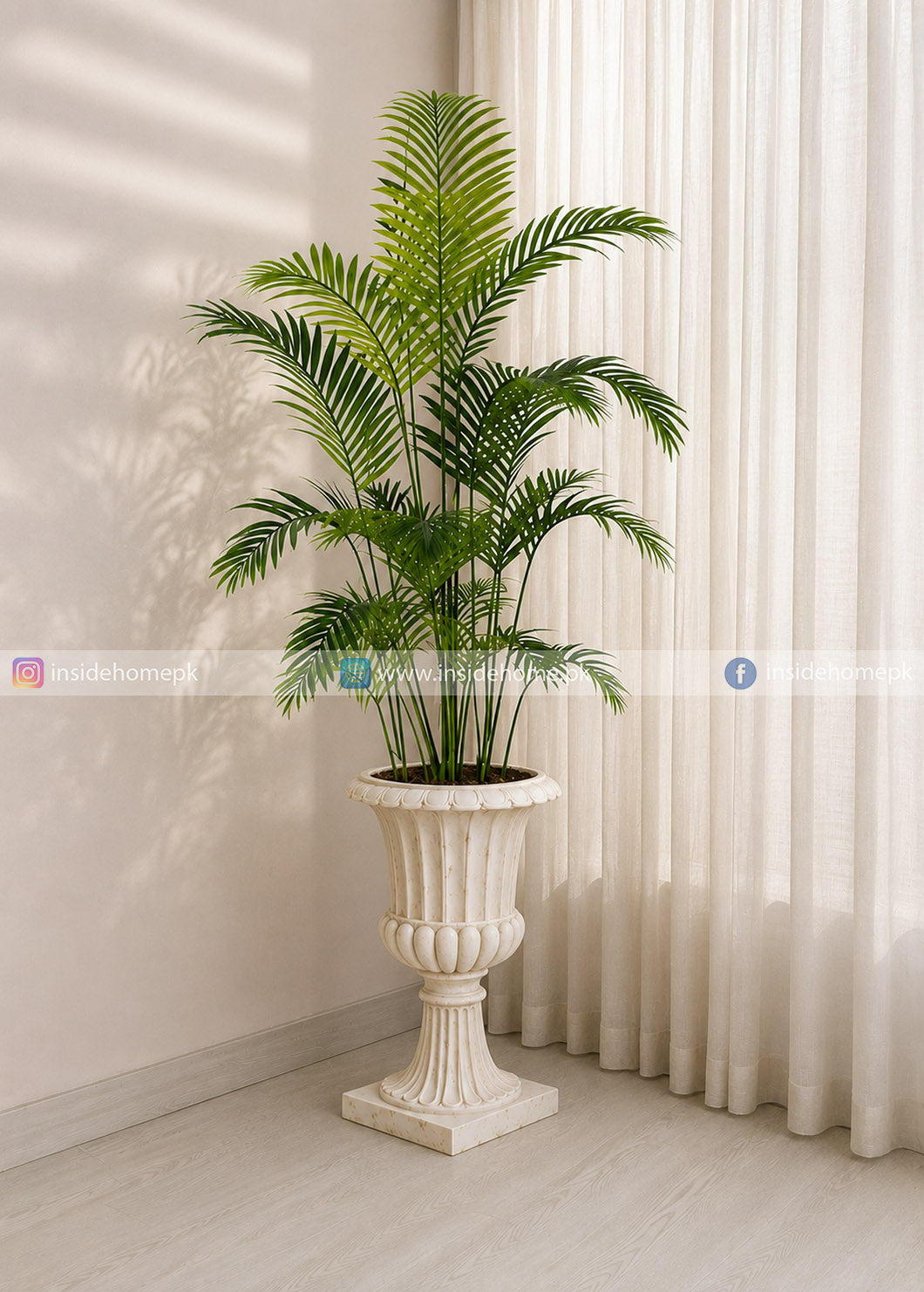 Areca Palm (PL1137)