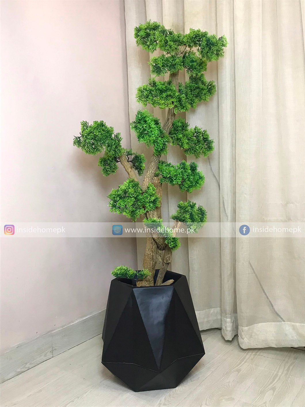 Bonsai Tree (PL1140)