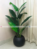 Tropical Green Plant (PL1142)