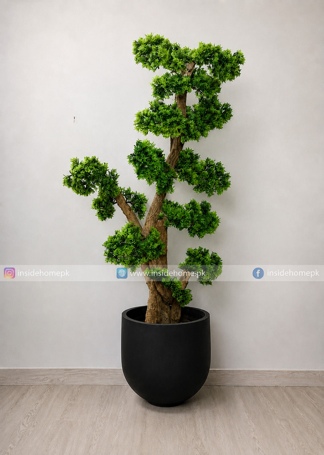 Bonsai Tree (PL1145)