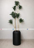 Dracaena Plant With Planter (PL1149)