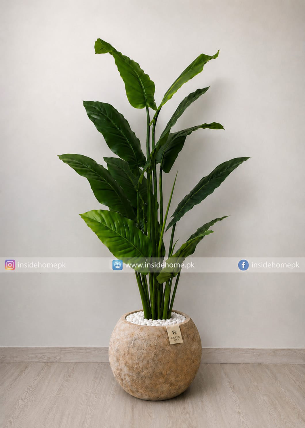 Tropical Green Plant (PL1150)
