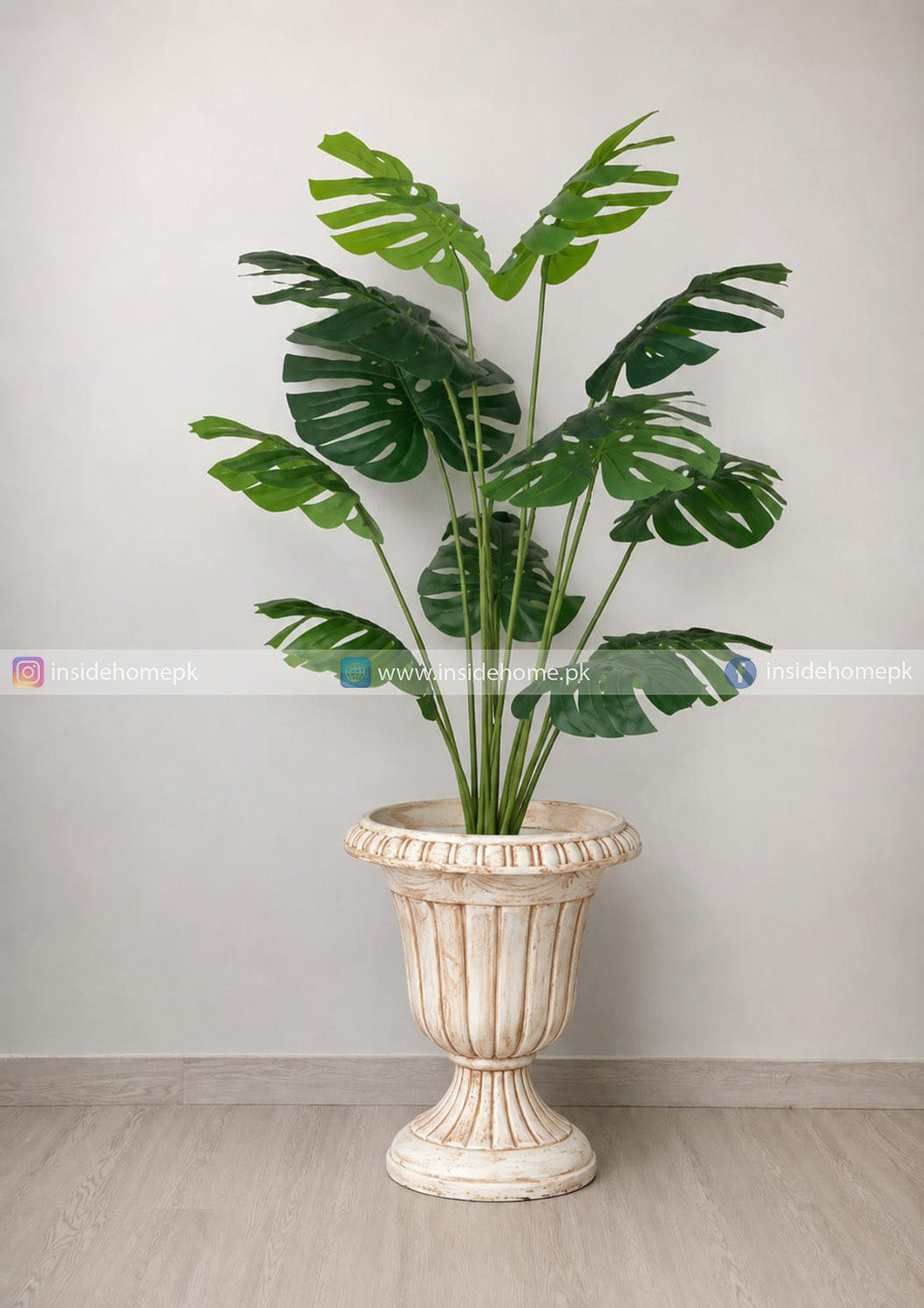Monstera Plant (PL1151)